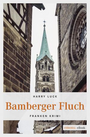 Cover of the book Bamberger Fluch by Richard Baetens
