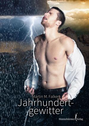 Cover of the book Jahrhundertgewitter by Alexandros Chakiris