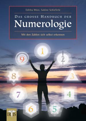Cover of the book Das große Handbuch der Numerologie by Rebecca Brents