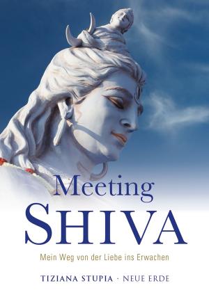 Cover of the book Meeting Shiva by Ute-Lisa Schumacher, Ilona Wegener