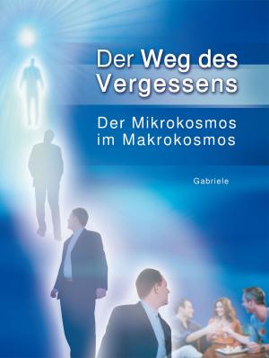 Cover of the book Der Weg des Vergessens by Martin Kübli, Dieter Potzel, Ulrich Seifert
