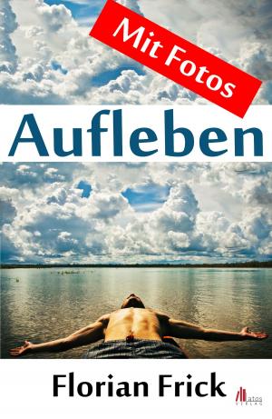Cover of the book Aufleben by William Wayne Dicksion