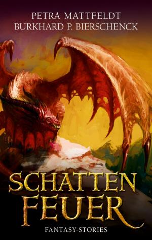 Book cover of Schattenfeuer