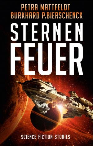 Cover of the book Sternenfeuer by Paris Tosen