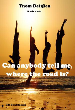 Cover of Can Anybody Tell Me Where the Road Is?