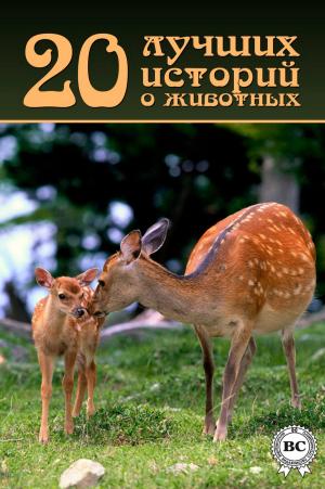 Cover of the book 20 лучших историй о животных by Константин Паустовский