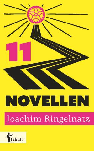 Cover of the book 11 Novellen by Franz Kafka