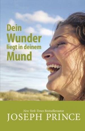 Cover of the book Dein Wunder liegt in deinem Mund by Karin Schmid