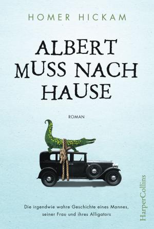 Cover of the book Albert muss nach Hause by John Kloepfer