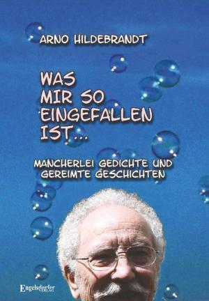 Cover of the book Was mir so eingefallen ist... by Detlef Gaastra