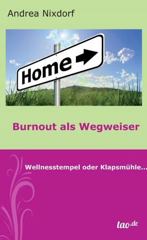 Cover of the book Burnout als Wegweiser by Norbert Oskar Maria Feilhaber