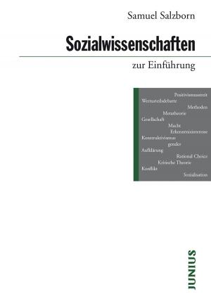 Cover of the book Sozialwissenschaften zur Einführung by Petra Gehring