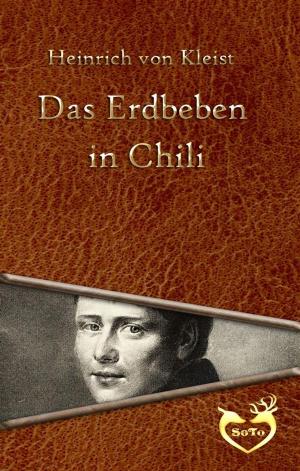 Cover of the book Das Erdbeben in Chili by Glenn Hauman, Aaron Rosenberg