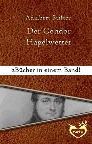 Cover of the book Der Condor / Hagelwetter by Adalbert Stifter