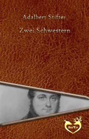 Book cover of Zwei Schwestern