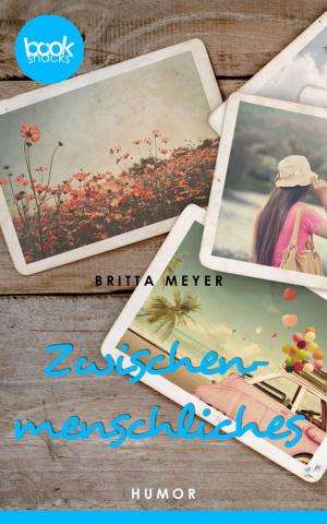 Cover of the book Zwischenmenschliches by Britta Meyer