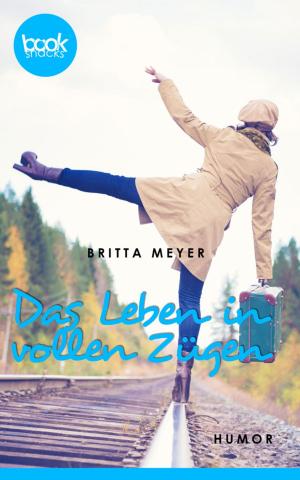 Cover of the book Das Leben in vollen Zügen by Britta Meyer