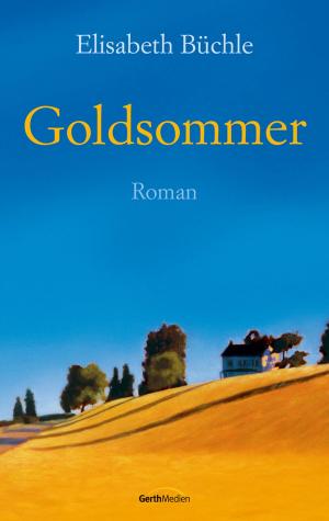 Cover of the book Goldsommer by Christine Caine