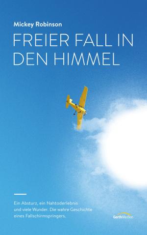 Cover of the book Freier Fall in den Himmel by Brennan Manning, John Blase