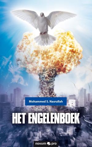 Cover of the book HET ENGELENBOEK by Herbert M. Frank