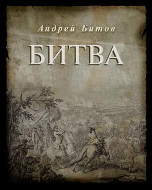 Cover of the book Битва by Виталий Вавикин, Vitaly Vavikin