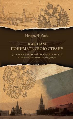 Cover of the book Как нам понимать свою страну by Евгений Прошкин