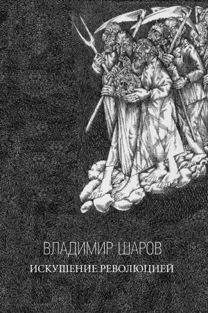 Cover of the book Искушение Революцией by Виталий Вавикин, Vitaly Vavikin