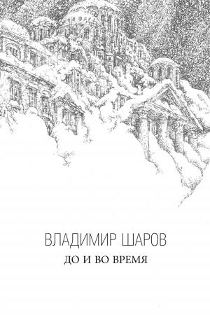 Cover of the book До и во время by Владимир Васильев, Vladimir Vasiliev