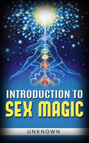 bigCover of the book Introduction to sex magic by 
