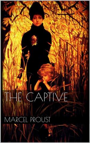 Book cover of The Captive