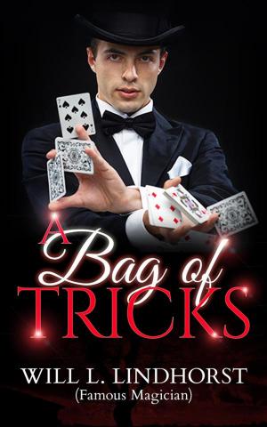 Cover of the book A Bag of Tricks by Josh Abbott, Hiddenstuff Entertainment