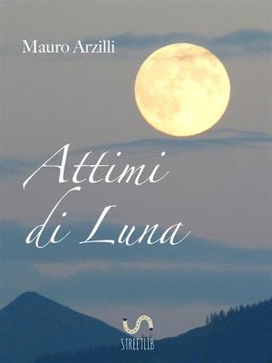 Book cover of Attimi di Luna