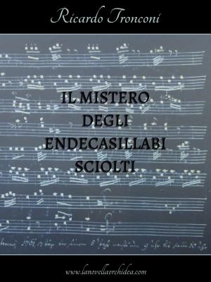 Cover of the book Il mistero degli endecasillabi sciolti by Blessing Macho