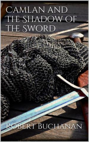 Cover of Camlan and The Shadow of the Sword