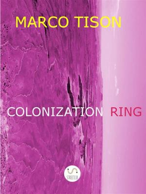 Cover of the book Colonization Ring by Katherine King