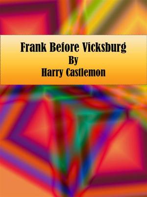 Book cover of Frank Before Vicksburg