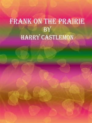 Book cover of Frank on the Prairie