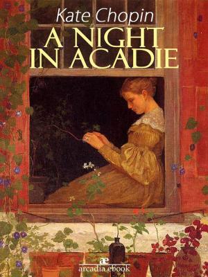 Book cover of A Night in Acadie