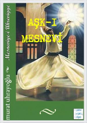 Book cover of Aşk-ı Mesnevi