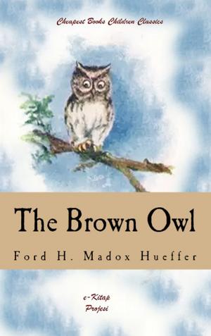 Cover of the book The Brown Owl by Bernard Granville Baker