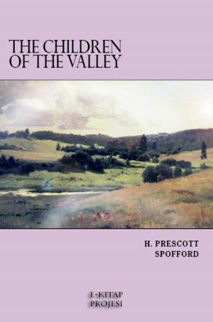 Cover of the book The Children of the Valley by Anson K. Cross
