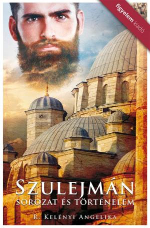 bigCover of the book Szulejman - Sorozat és történelem by 
