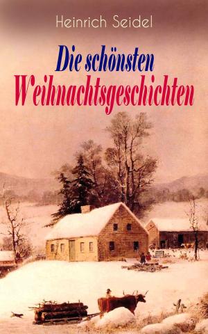Book cover of Heinrich Seidel: Die schönsten Weihnachtsgeschichten