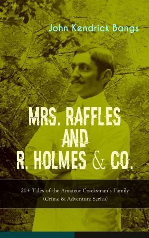 Book cover of MRS. RAFFLES and R. HOLMES & CO. – 20+ Tales of the Amateur Cracksman's Family (Crime & Adventure Series)