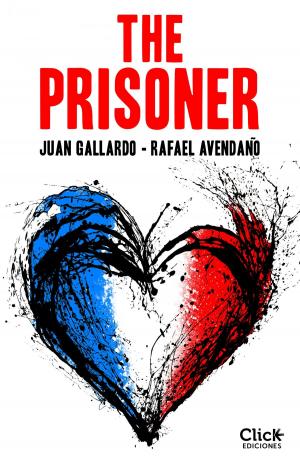 Cover of the book The Prisoner by Violeta Denou