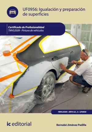 Cover of the book Igualación y preparación de superficies by Amador Ordoñez Puime, Rubén Alonso Crespo, Tecnología e Investigación S.L. Asesoramiento