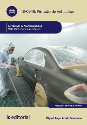 Cover of the book Pintado de vehículos by S.L. Innovación y Cualificación, S. L. Target Asesores