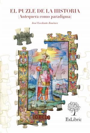 Cover of the book El puzle de la historia (Antequera como paradigma) by Álvaro  González de Aledo Linos, Javier  Brizuela Marcos