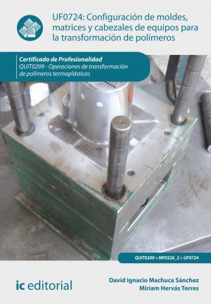 Cover of the book Configuración de moldes, matrices y cabezales de equipos para la transformación de polímeros by Ester Chicano Tejada
