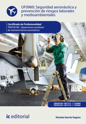 Cover of the book Seguridad aeronáutica y prevención de riesgos laborales y medioambientales by Diego Javier Mendoza Escot